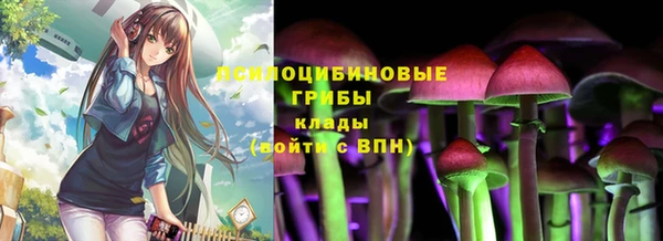первитин Гусь-Хрустальный