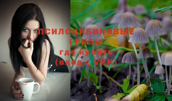 первитин Гусь-Хрустальный