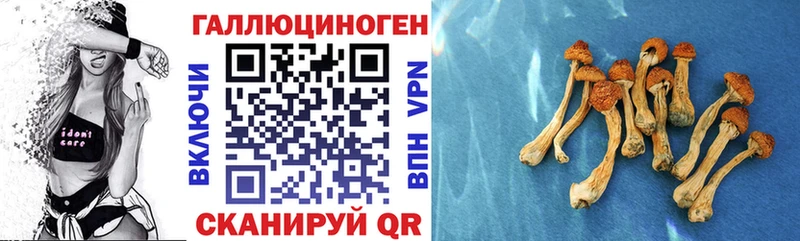 Псилоцибиновые грибы Psilocybine cubensis закладка Егорьевск